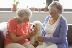 elderly women and white dog